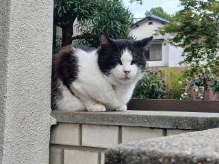 �摜(320x240)�E�g��摜(640x480)