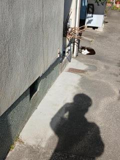 �摜(240x320)�E�g��摜(480x640)