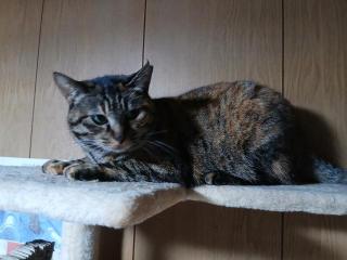 画像(320x240)・拡大画像(640x480)