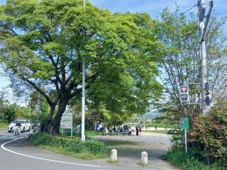 �摜(320x240)�E�g��摜(640x480)