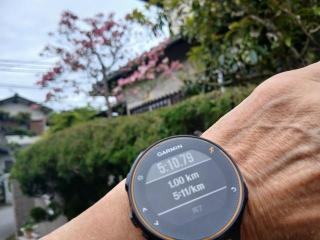 �摜(320x240)�E�g��摜(640x480)