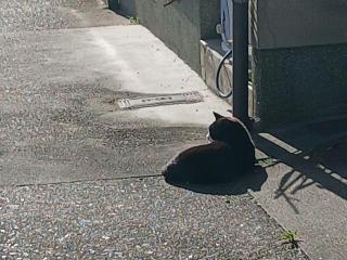 �摜(320x240)�E�g��摜(640x480)