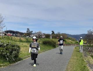 画像(320x246)・拡大画像(640x493)