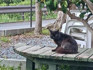 �摜(320x240)�E�g��摜(640x480)