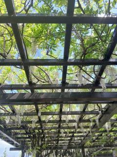 �摜(240x320)�E�g��摜(480x640)