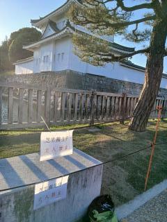 画像(240x320)・拡大画像(480x640)