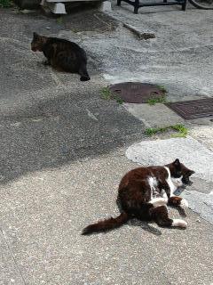 �摜(240x320)�E�g��摜(480x640)