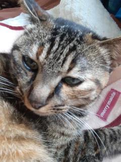 画像(240x320)・拡大画像(480x640)