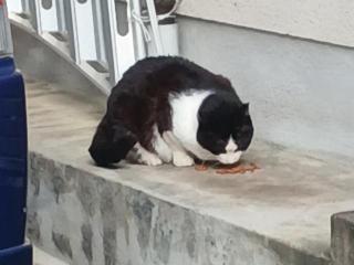 �摜(320x240)�E�g��摜(640x480)