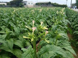 画像(320x240)・拡大画像(640x480)