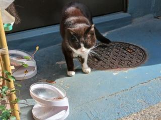 画像(320x240)・拡大画像(640x480)