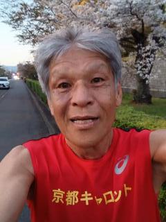 画像(240x320)・拡大画像(480x640)