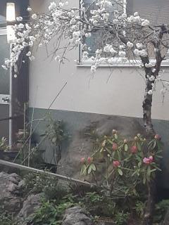 画像(240x320)・拡大画像(480x640)