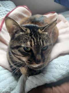 �摜(240x320)�E�g��摜(480x640)