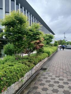 �摜(240x320)�E�g��摜(480x640)