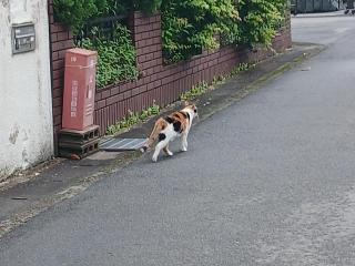 �摜(320x240)�E�g��摜(640x480)