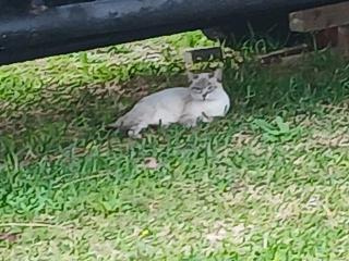 画像(320x240)・拡大画像(640x480)