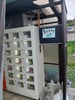 �摜(240x320)�E�g��摜(480x640)