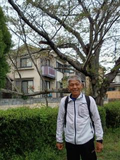 画像(240x320)・拡大画像(480x640)