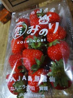 �摜(240x320)�E�g��摜(480x640)