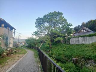 �摜(320x240)�E�g��摜(640x480)