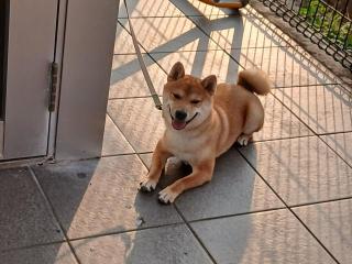 �摜(320x240)�E�g��摜(640x480)