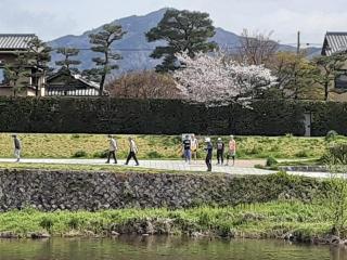 画像(320x240)・拡大画像(640x480)