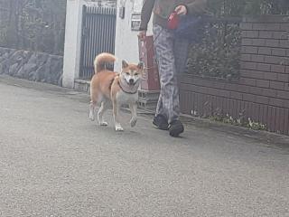 画像(320x240)・拡大画像(640x480)