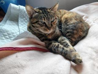 �摜(320x240)�E�g��摜(640x480)