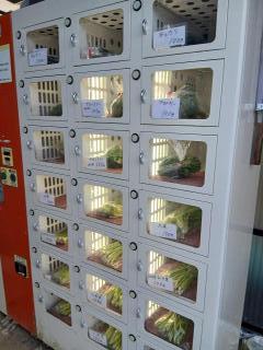 �摜(240x320)�E�g��摜(480x640)