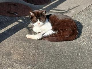 �摜(320x240)�E�g��摜(640x480)