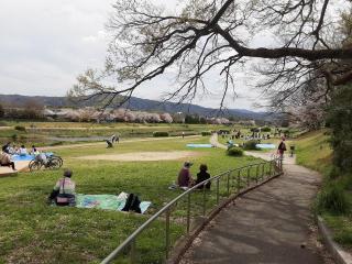 画像(320x240)・拡大画像(640x480)