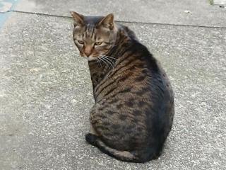 画像(320x240)・拡大画像(640x480)