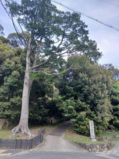 �摜(240x320)�E�g��摜(480x640)