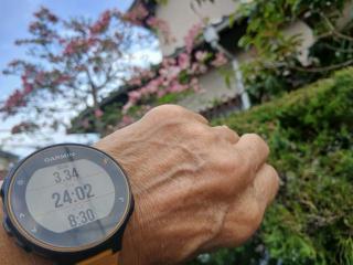 �摜(320x240)�E�g��摜(640x480)