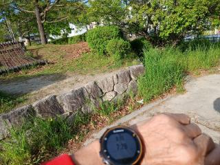 �摜(320x240)�E�g��摜(640x480)