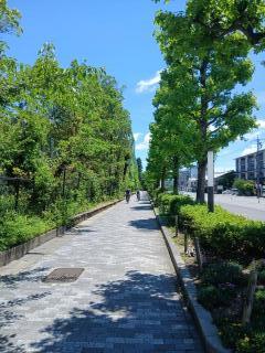 �摜(240x320)�E�g��摜(480x640)