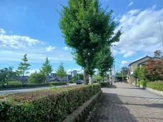 画像(320x240)・拡大画像(640x480)