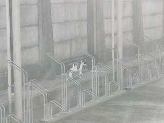 �摜(320x240)�E�g��摜(640x480)