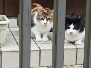 画像(320x240)・拡大画像(640x480)