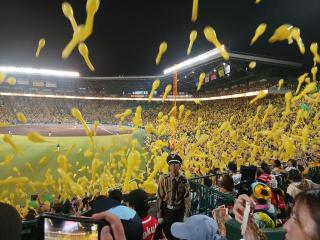 画像(320x240)・拡大画像(640x480)