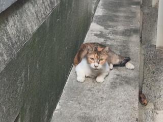 画像(320x240)・拡大画像(640x480)