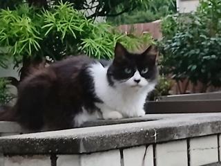 �摜(320x240)�E�g��摜(640x480)