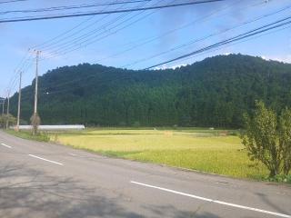 �摜(320x240)�E�g��摜(640x480)