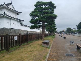 �摜(320x240)�E�g��摜(640x480)