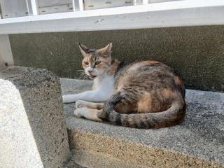 画像(320x240)・拡大画像(640x480)