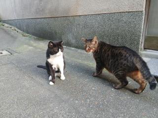 画像(320x240)・拡大画像(640x480)