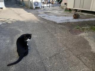 画像(320x240)・拡大画像(640x480)