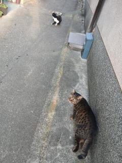 画像(240x320)・拡大画像(480x640)